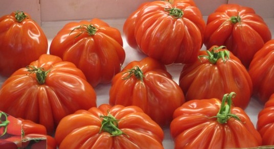 tomatoes au verger d'alice