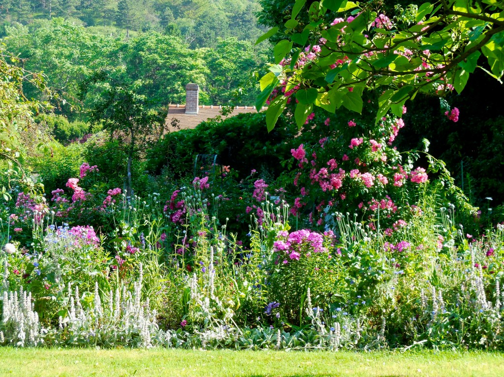 flowers monet