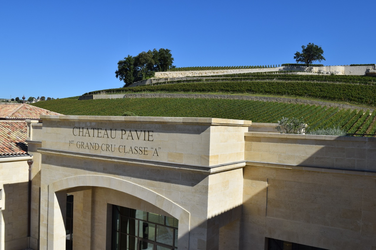 Château Pavie vines overlooking the château